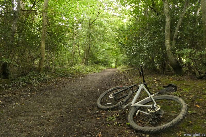 Brundholme Woods