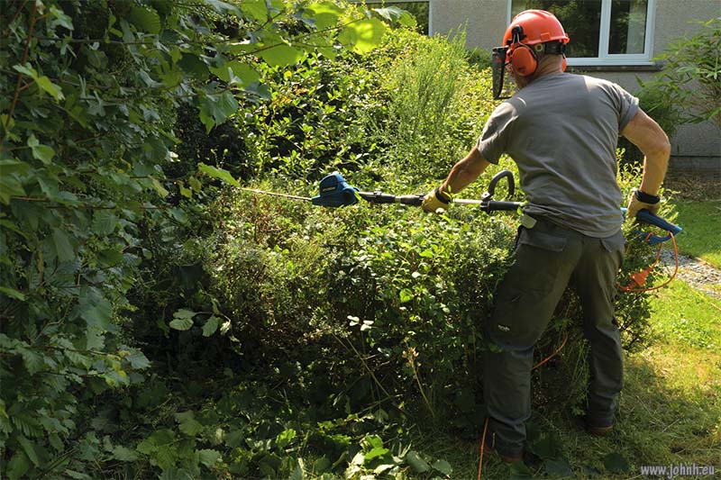 Keswick garden trimming