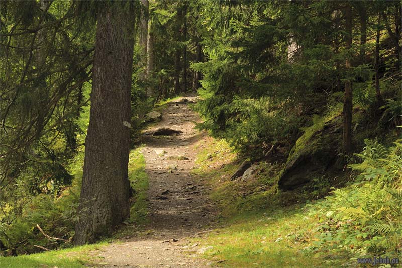 Paradis des Praz - Chamonix-Mont Blanc