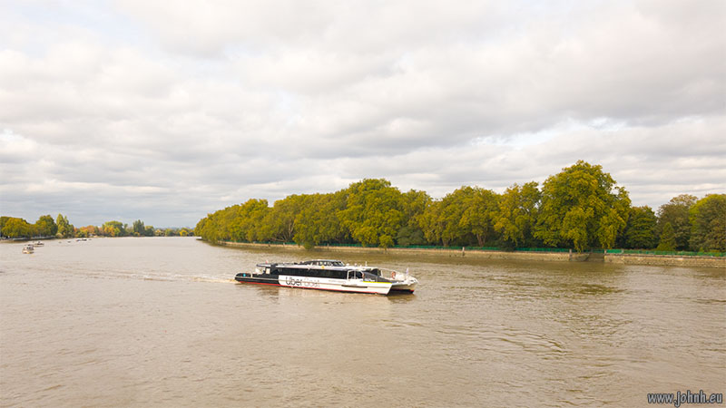 Thames Clipper River Bus at Putney Bridge