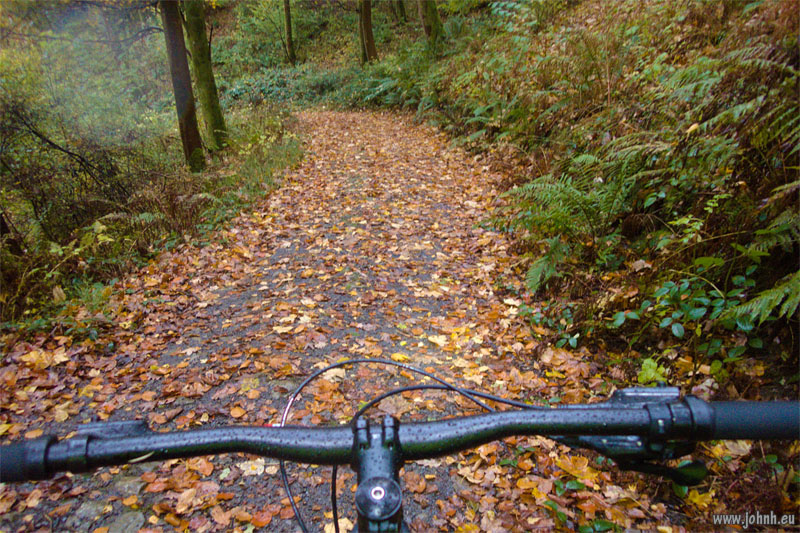 MTB in Brundholme Woods - Lake District