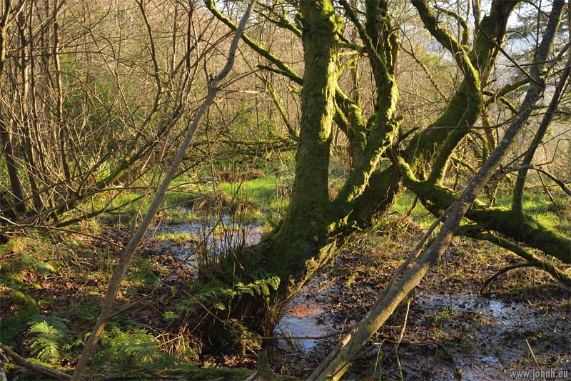 Eskdale Trail, Lake District National Park