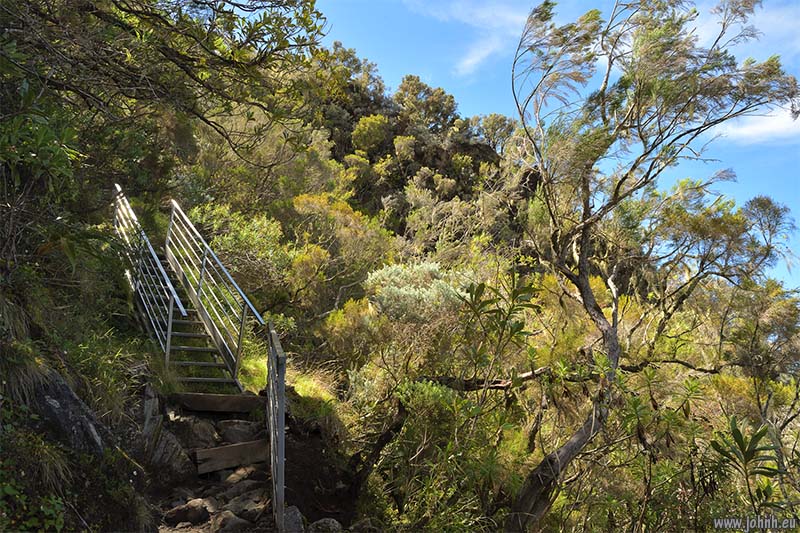 Hike from Cilaos, GR R1, Réunion Island
