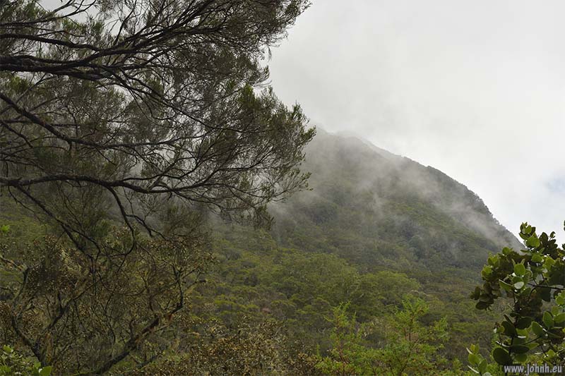Hike from Cilaos, GR R1, Réunion Island