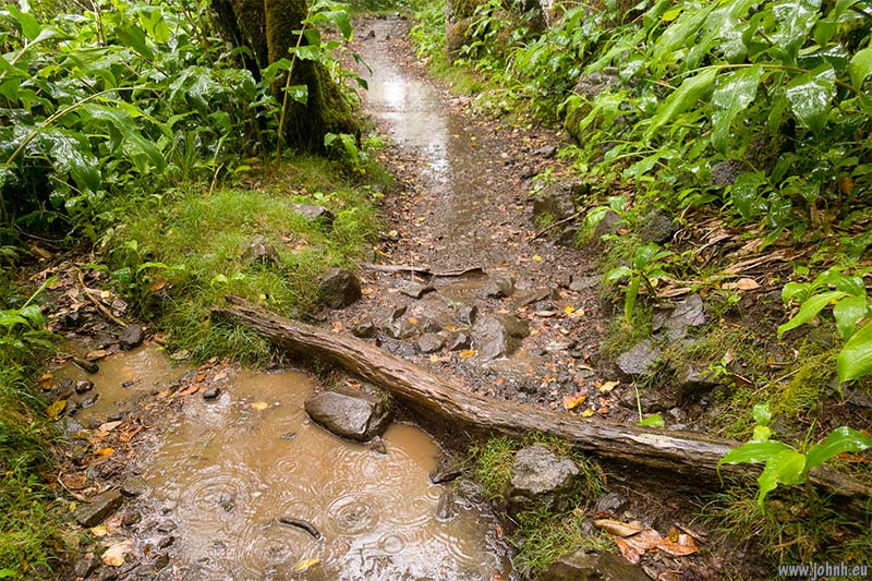 Hike from Cilaos, GR R1, Réunion Island