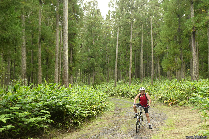 Cilaos mountain bike
