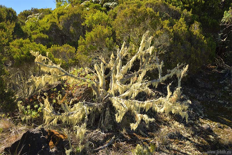 Hike from Le Maïdo, Mafate crater, Île de la Réunion 