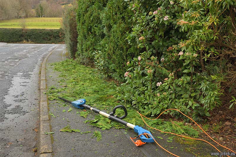 Trimming my Keswick garden hedges