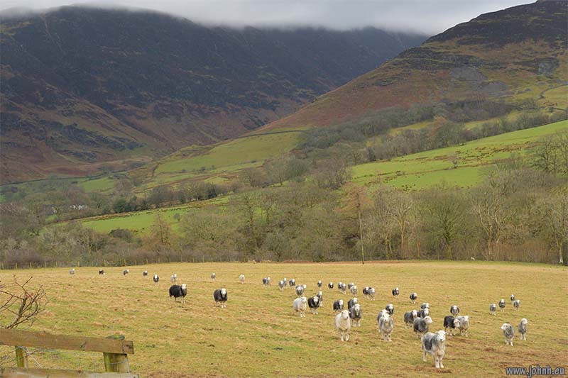 Newlands Vallley, Lake District National Park