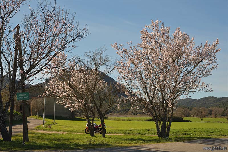 Riding my CBR600RR in Provence