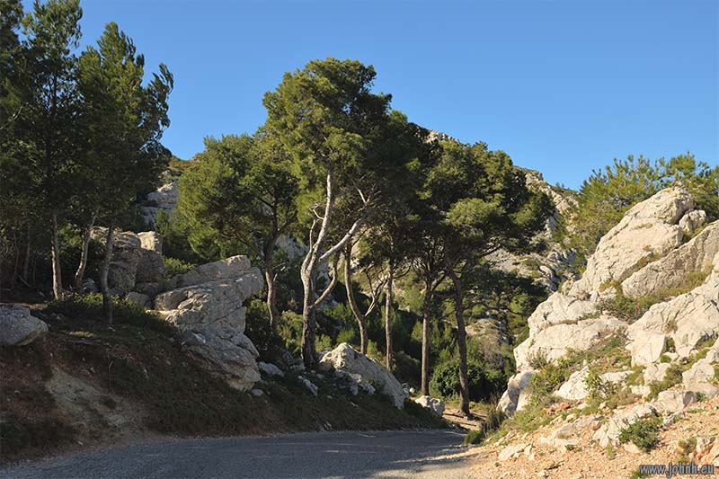 GR51-GR98  Parc national des Calanques