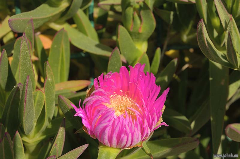 Marseille Les Goudes