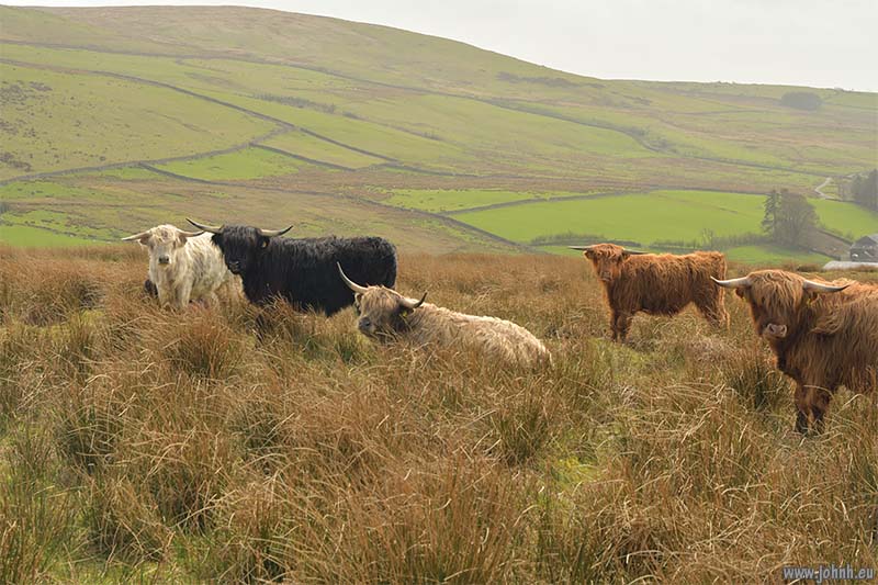 Worm Gill Valley