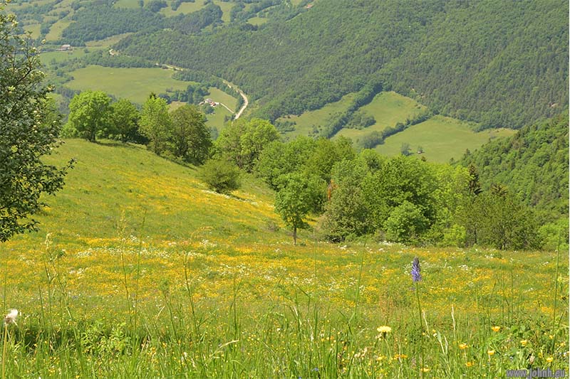 Cabane libre de Boustigue