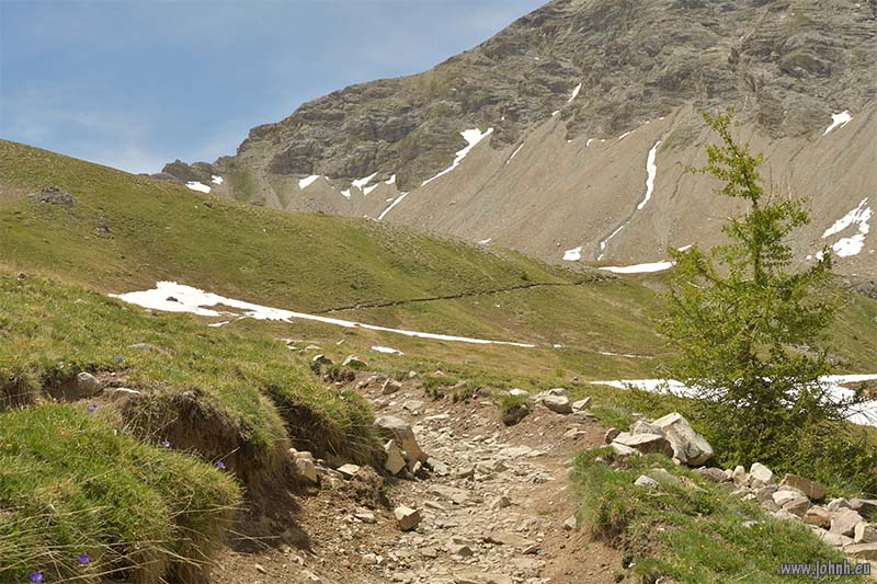 Col de la Cayolle